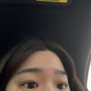 올리브영 앞 횡단보도 | 천안 신부동 달무리 속눈썹 전문 펌 포인트연장 후기