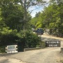 숲속에 안뜰 | 용인자연숲캠핑장 A7 사이트 후기, 아이와 함께 다녀온 2박 3일 캠핑, 경기도 용인 계곡 캠핑장 추천