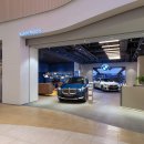 D.S 모터스 이미지