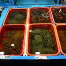 할매소머리곰탕 이미지