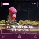 대전아쿠아리움 | 보문산 속 신비로운 해저 탐험! 대전아쿠아리움 방문 후기