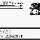 밥스짐 이미지