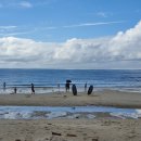 모래밭 민박 이미지