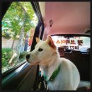 봉곡동321 이미지