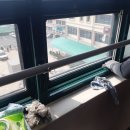 부산서여자고등학교 이미지