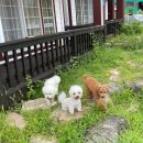 글램독 경주 B동 이미지