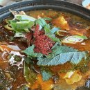 덕유산 송어 이미지