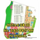 최윤정부동산