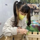 신항초등학교 이미지