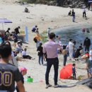 바글바글제주 이미지