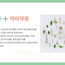 이너시스템