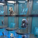 도그럭스 이미지