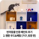 반려동물 인증 페인트 펫테리어 셀프페인팅 후기 2. 팬톤 우드앤메탈 (가구, 방문 편)