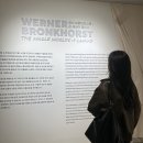 서촌 전시회 추천, 워너 브롱크호스트: 온 세상이 캔버스