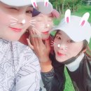루트세븐틴 이미지
