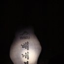 영남 알프스 하늘길 억새 종주