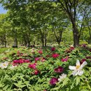 둘레길가든 이미지