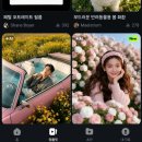 봄날의 강아지 이미지