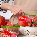 (주)더조은 이미지