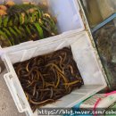 황금카 | 파타야 중국사원 위한 씨안 (Viharn Sien), 탐분, 카오치찬(황금절벽사원) 방문 후기