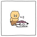 오!금화네집밥 | [Weeklog] 3월/W4_직장인log, 직춘기, 샤로수길 누들하우스, 부자아빠 가난한아빠, 오쏘물 이뮨, 엽떡...