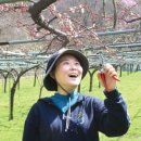 신전원일기 이미지