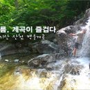 제 199차 정기산행 지리산 백운계곡 이미지