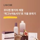 양천목동빨래방워시프렌즈파리공원점 이미지