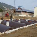 거금도농협주유소 이미지