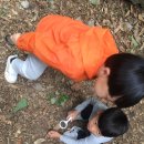 신동초병설유치원 이미지