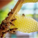 우천농장 이미지