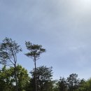 밀키스테이 이미지