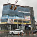 장보는강아지와고양이 신호점 | 명지애견용품할인매장 장보는강아지와고양이 부산신호점에서 장보고 왔어요