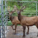 인지농장 이미지