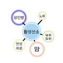 닥터모락합정점