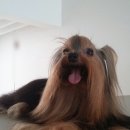 이아이앤테리어 이미지