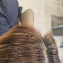 푸르리헤어