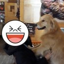 미애뜰 이미지