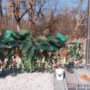 김작가의 낭만 풀빌라 이미지