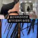 [공지] 울산북구피부관리 올가드림뷰티 송정점 두피관리 후기