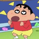 스포츠다 | [수영] 남도스포츠 DMC 엘리트맥스 오리발 숏핀 구매 후기