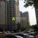 배방로 Daum카페