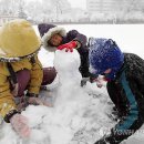 대관령초등학교 이미지