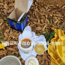 영광산소 이미지
