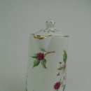 도그 블라썸 이미지