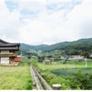 약초골한옥마을 이미지