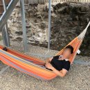 어촌 일기 민박 이미지