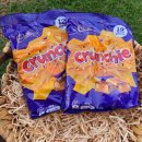 크런치데이 이미지