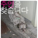 학성회센타 이미지