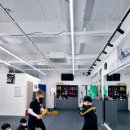 강화 용인대 복싱클럽 이미지